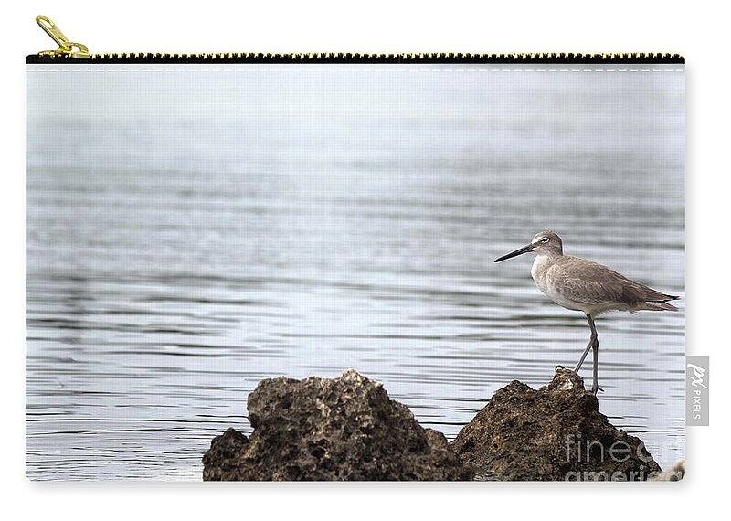 Bird; Sandpiper; Water; Gulf Of Mexico; Florida; Key West; Sunlight; Reflections; Ripples; Rocks; Beach; Zip Pouch featuring the photograph The Sandpiper by Tina Uihlein