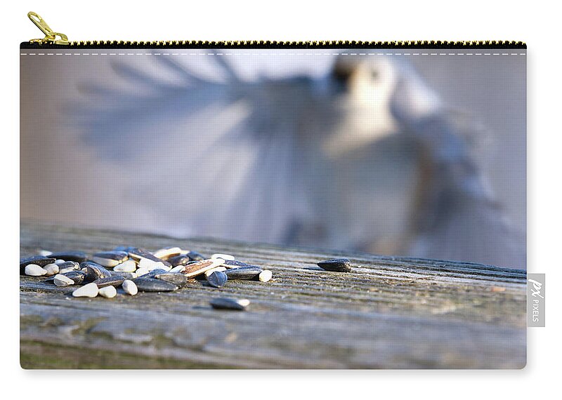 Birds Zip Pouch featuring the photograph The Seeds by Flinn Hackett