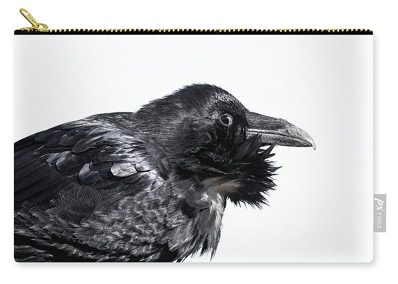 Raven Zip Pouch featuring the photograph The Side Eye by Mary Hone