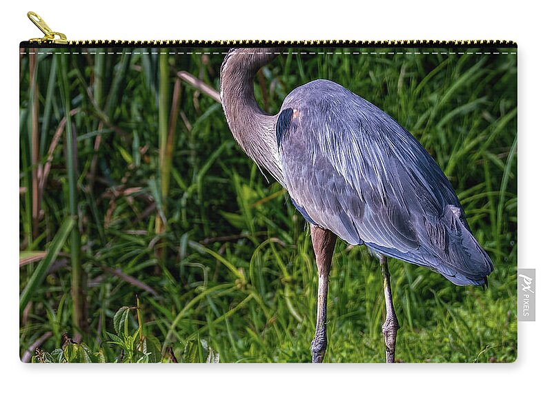 Animals Zip Pouch featuring the photograph The Stalking by Brian Shoemaker