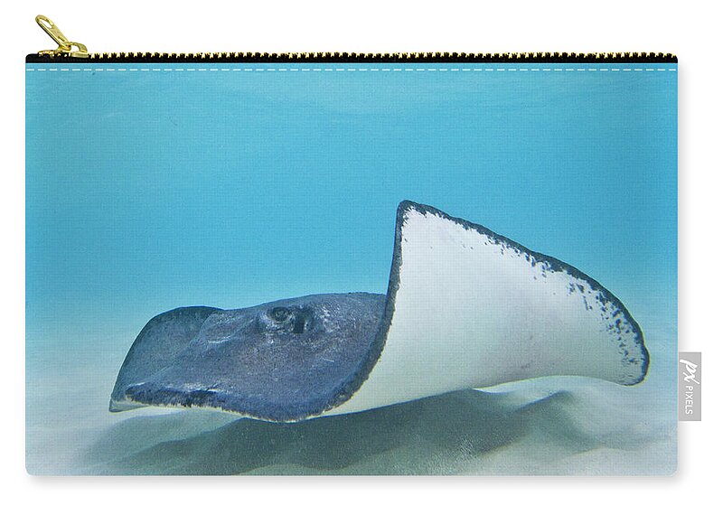 Ocean Carry-all Pouch featuring the photograph The Wave by Lynne Browne