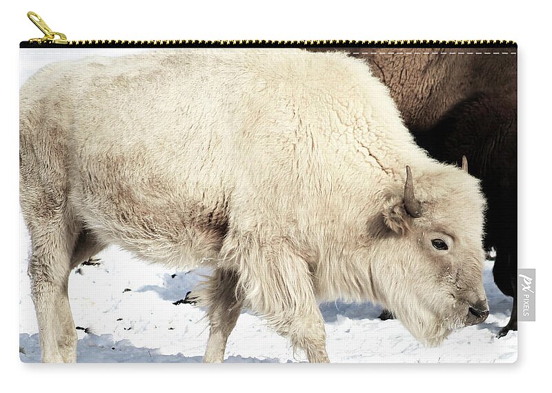 Buffalo Zip Pouch featuring the photograph Unique Treasure by Shirley Dutchkowski