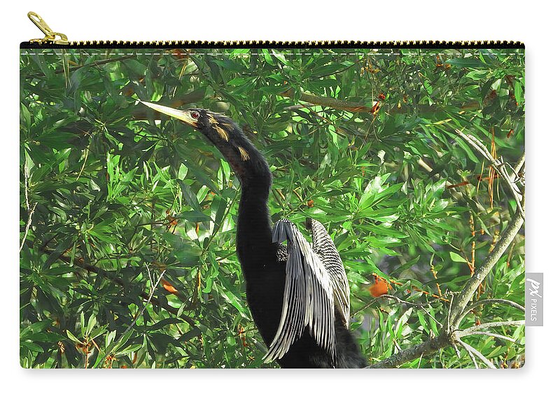 Anhinga Zip Pouch featuring the photograph The Wings of an Angel by Scott Cameron
