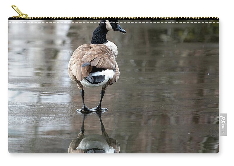 Canadian Goose Zip Pouch featuring the photograph Thin Ice by Kevin Suttlehan