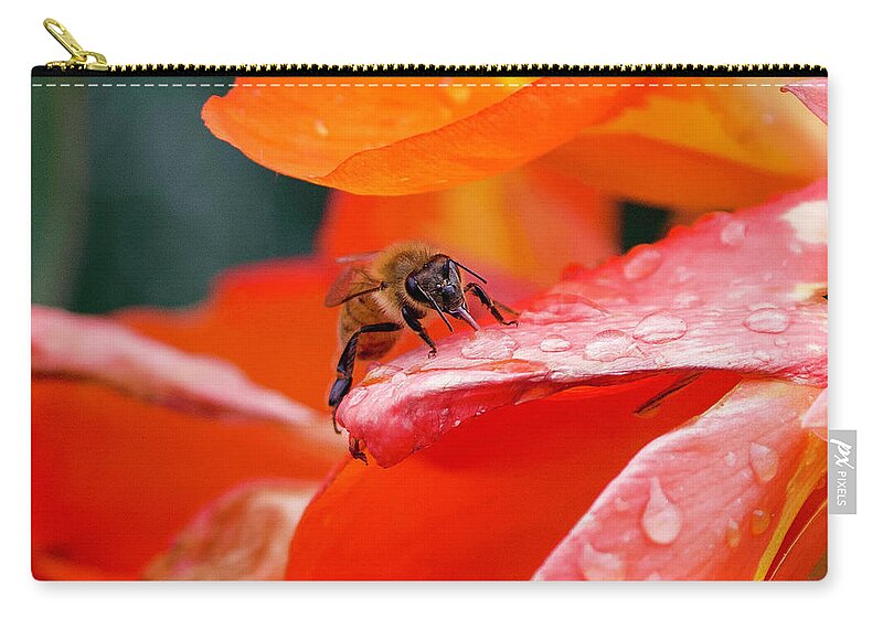 Bee Zip Pouch featuring the photograph Thirsty Bee by Shirley Dutchkowski