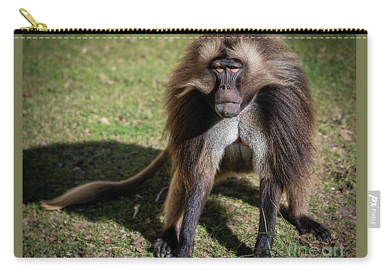 David Levin Photography Zip Pouch featuring the photograph This is How I Look When I'm Happy by David Levin