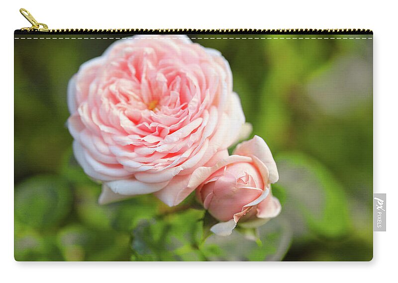 Pink Zip Pouch featuring the photograph This Is Rose And Baby Bud by Scott Burd