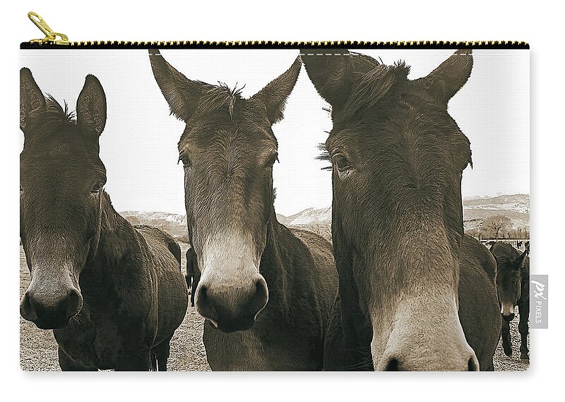 Mules Zip Pouch featuring the photograph Three Amigos, Sepia by Don Schimmel