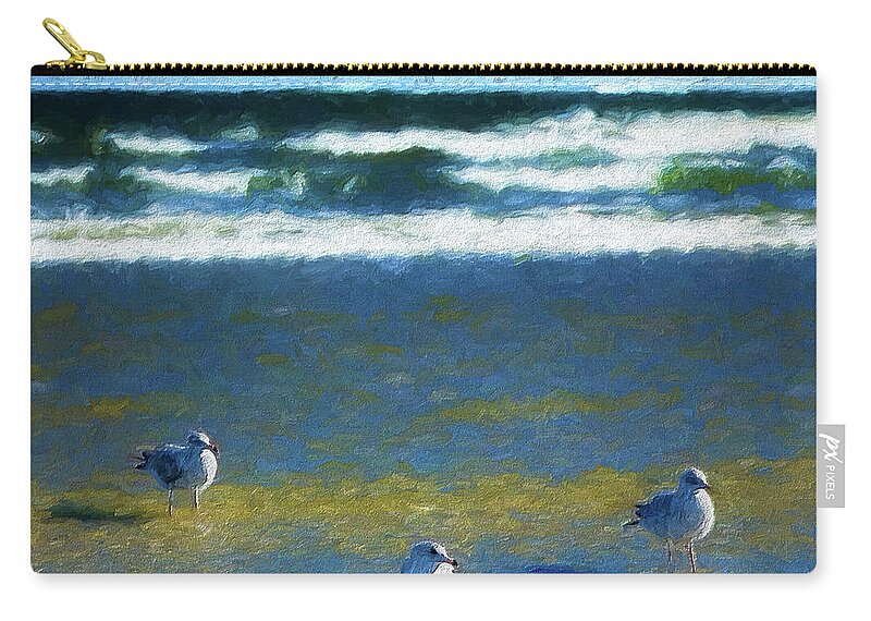 Beach Zip Pouch featuring the photograph Three Birds on Outer Banks Beach ap by Dan Carmichael