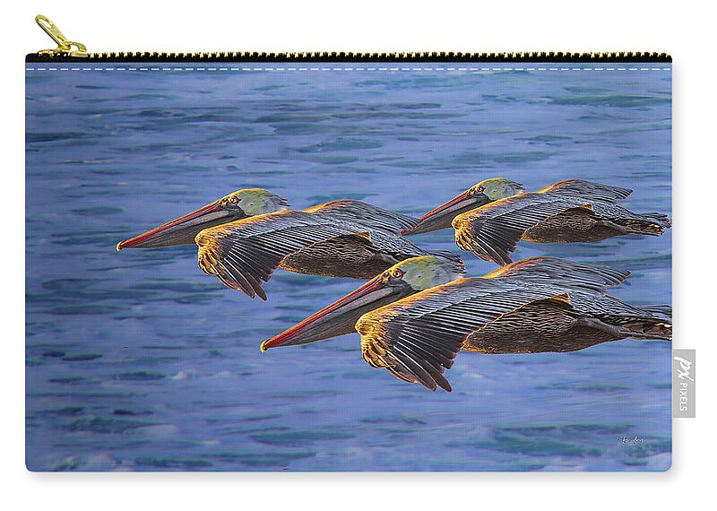 Gliding Zip Pouch featuring the photograph Three Brown Pelicans at Sunset by Russ Harris