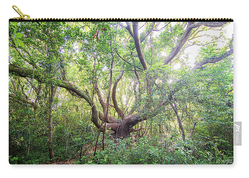 Live Oak Zip Pouch featuring the photograph Three Century Live Oak Tree - North Carolina Crystal Coast by Bob Decker