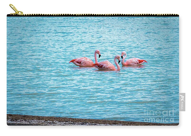 Flamingo Carry-all Pouch featuring the photograph Three flamingos on the Laguna Amarga by Lyl Dil Creations