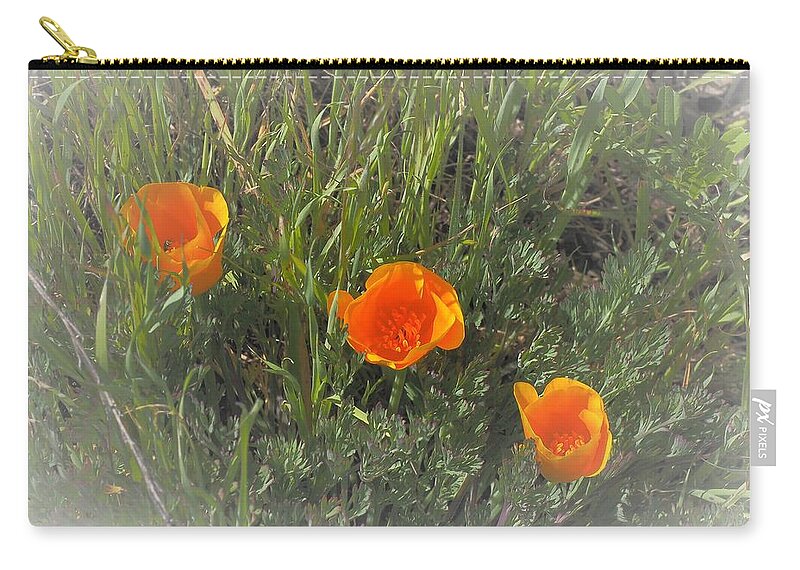 California Zip Pouch featuring the photograph Three Gold Poppies by Richard Thomas