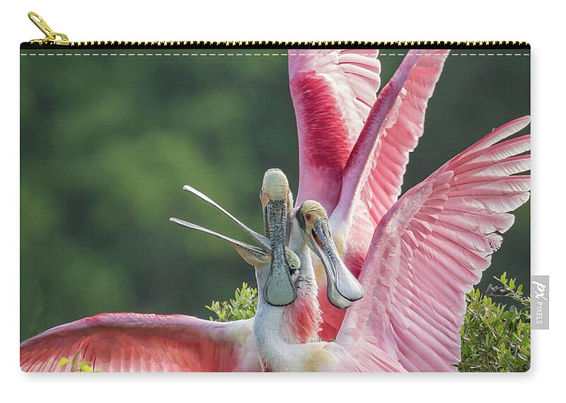 Roseate Spoonbill Zip Pouch featuring the photograph Three is Not A Company by Jurgen Lorenzen