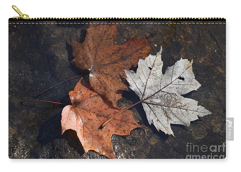 Leaves Carry-all Pouch featuring the photograph Three Leaves in the Creek by Stefania Caracciolo
