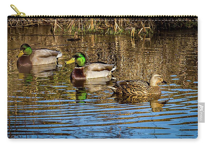 Birds Zip Pouch featuring the photograph Three Mallard ducks chilling out by Louis Dallara