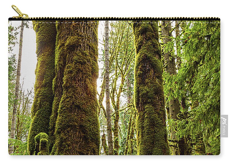Landscapes Zip Pouch featuring the photograph Three Old Boys by Claude Dalley