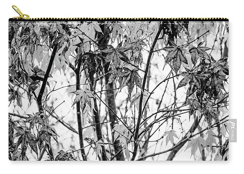 Carolina Zip Pouch featuring the photograph Through the Autumn Leaves Black and White by Debra and Dave Vanderlaan
