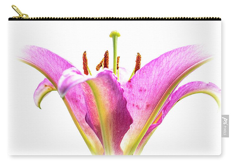 Lily Zip Pouch featuring the photograph Tickled Pink by Carol Senske