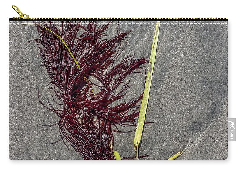 Seaweed Carry-all Pouch featuring the photograph Tidal Abstract by Cate Franklyn