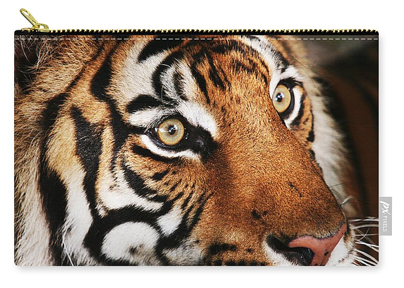 Tiger Carry-all Pouch featuring the photograph Tiger Headshot by Brad Barton
