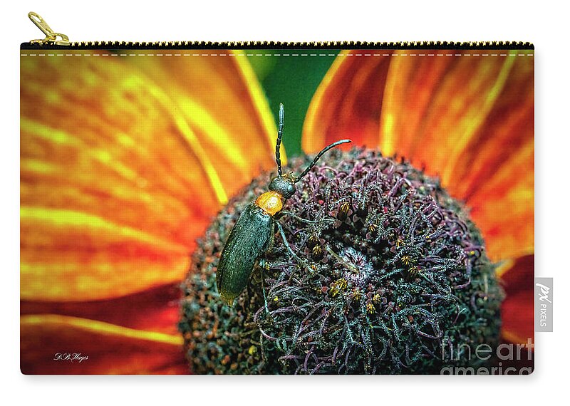 Insects Zip Pouch featuring the photograph Tiny World by DB Hayes