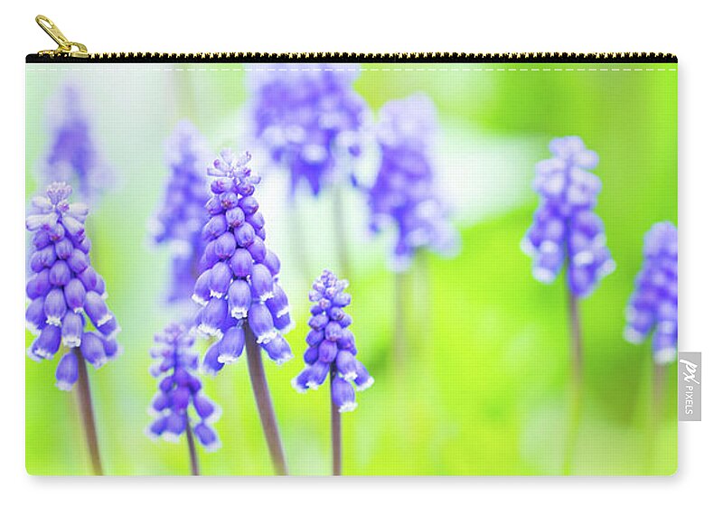 Blossoms Zip Pouch featuring the photograph To See the Flowers In It by Marilyn Cornwell