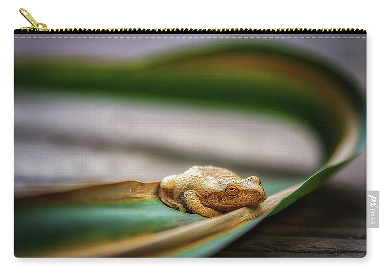 Toad Zip Pouch featuring the photograph Toad resting by Joann Long