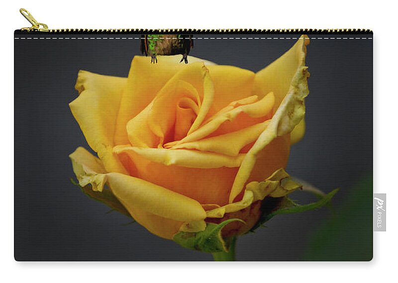 2212 Zip Pouch featuring the photograph Tom Thumb Visits A Peach Rose II by Al Bourassa
