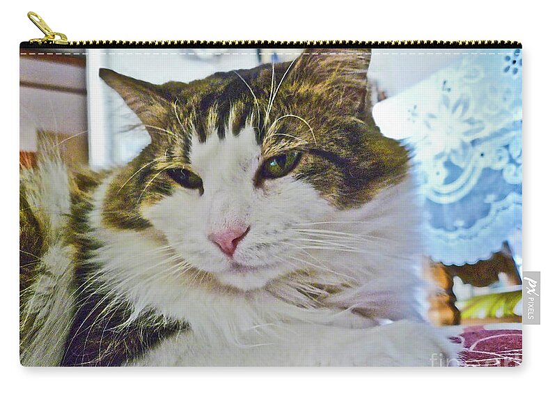 Animal Zip Pouch featuring the photograph Tommy_002 by Howard Stapleton