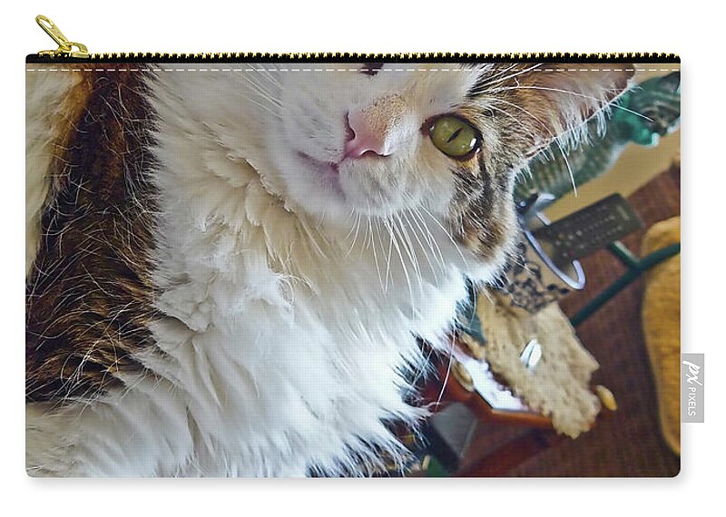 Animal Zip Pouch featuring the photograph Tommy_006 by Howard Stapleton