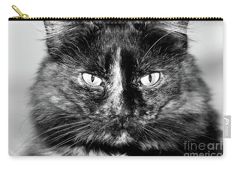 Cat; Torti; Tortoiseshell; Torti Cat; Tortoiseshell Cat; Stare; Eyes; Attitude; Catitude; Tortitude; Black And White; Photography; Macro; Close-up; Portrait; Horizontal Zip Pouch featuring the photograph Tortitude in Black and White by Tina Uihlein