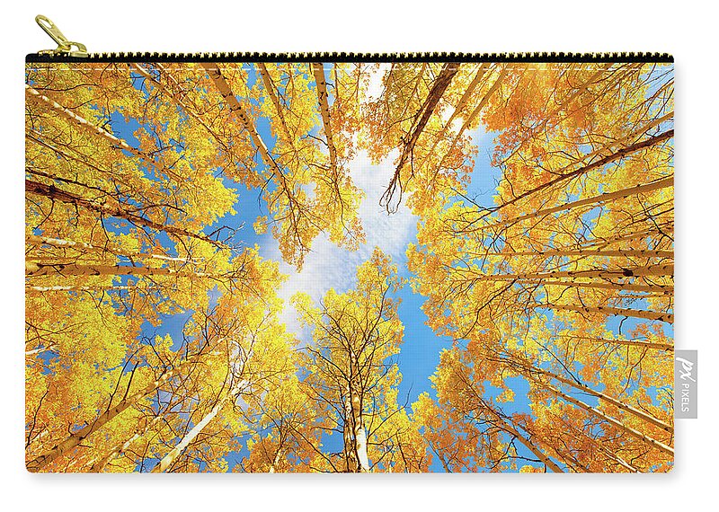 Aspens Carry-all Pouch featuring the photograph Towering Aspens by Darren White