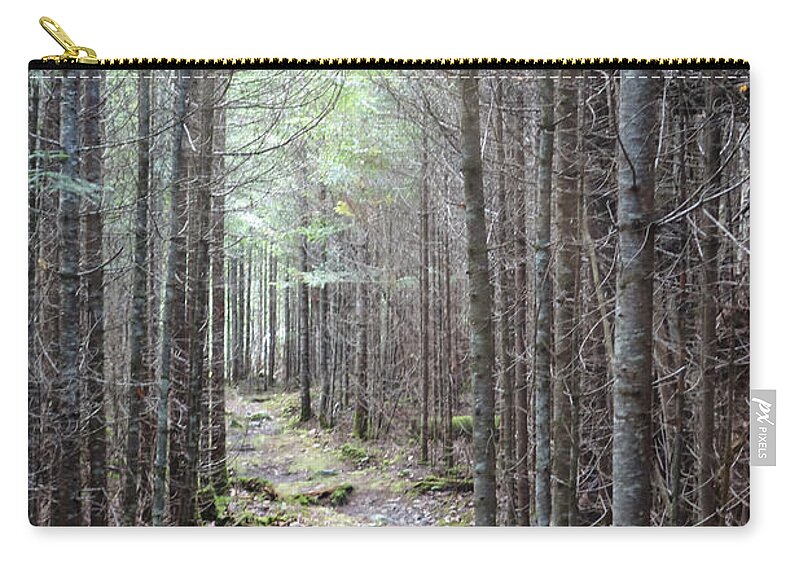 Maine Zip Pouch featuring the photograph Trail in Northern Maine Woods by Russel Considine