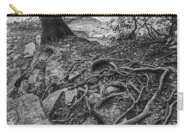 Greeter Falls Zip Pouch featuring the photograph Trail To Upper Greeter Falls by Phil Perkins