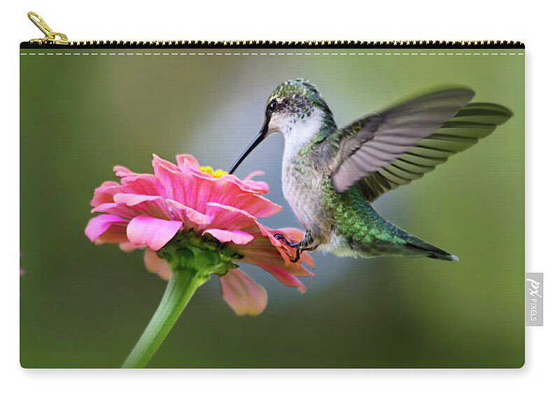 Hummingbird Zip Pouch featuring the photograph Tranquil Joy by Christina Rollo