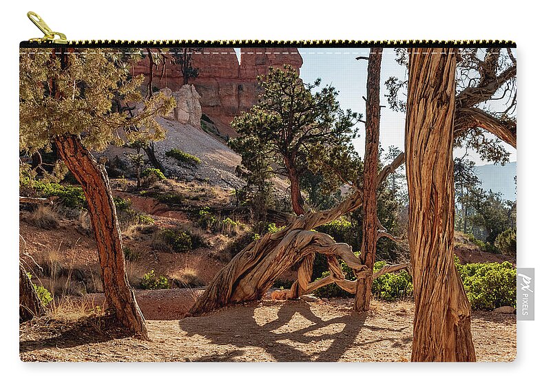 Beauty In Nature Zip Pouch featuring the photograph Tree at Bryce by Nathan Wasylewski