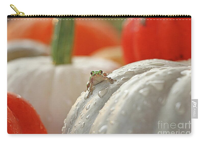Tree Frog Zip Pouch featuring the photograph Tree Frog 4616 by Jack Schultz