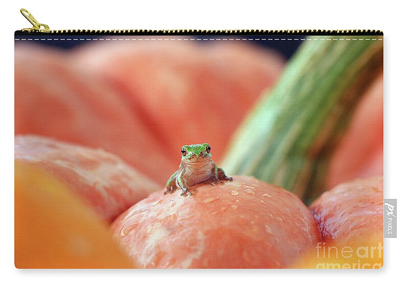 Tree Frog Zip Pouch featuring the photograph Tree Frog 4638 by Jack Schultz