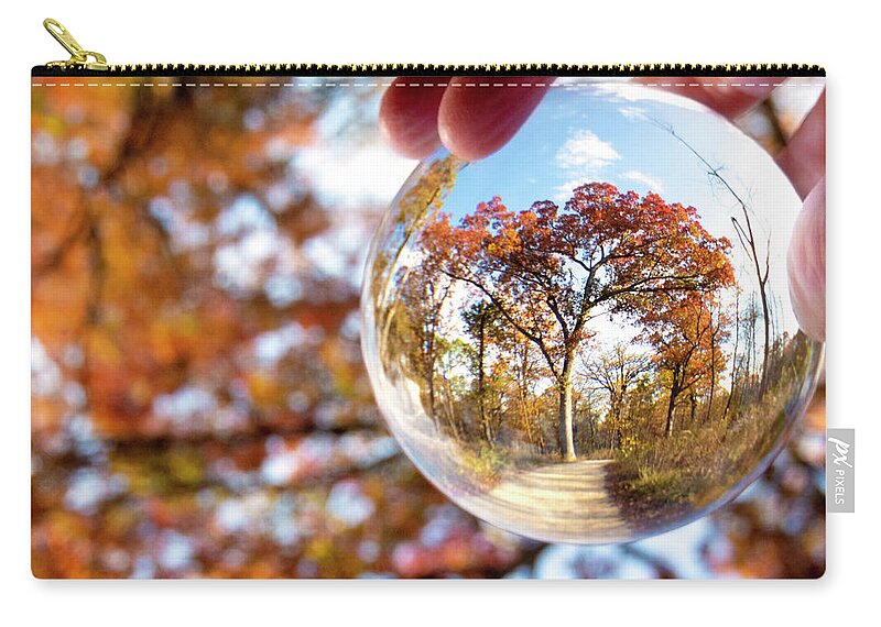 Tree In An Orb Zip Pouch featuring the photograph Tree in an Orb by Patty Colabuono