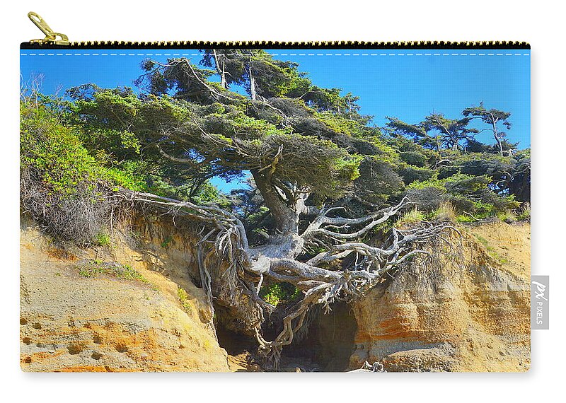 Coastal Zip Pouch featuring the photograph Tree of Life by Bill TALICH