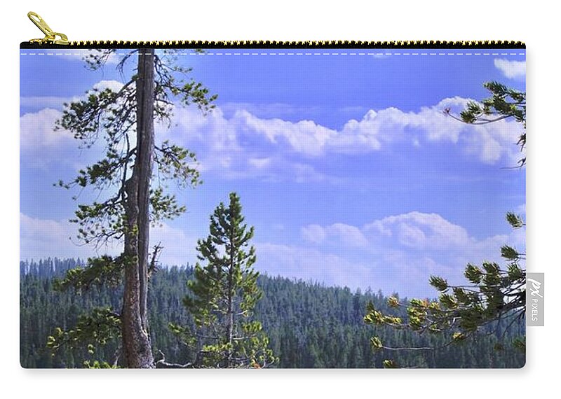 Tree Zip Pouch featuring the photograph Ponderosa Tree on a Rock by Randy Pollard