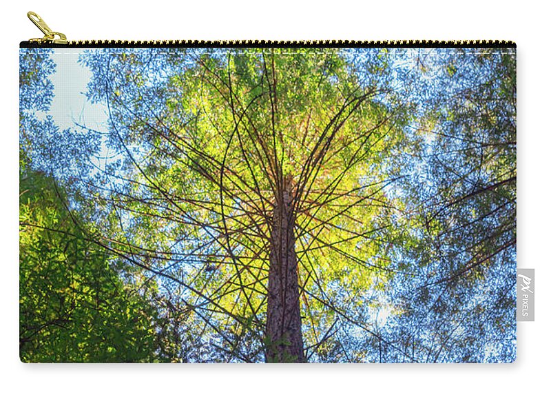 Trees Zip Pouch featuring the photograph Tree Reaching to the Sun by Bonnie Follett