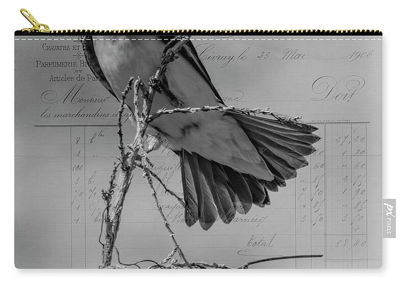 Bird Carry-all Pouch featuring the photograph Tree Swallow by Cathy Kovarik