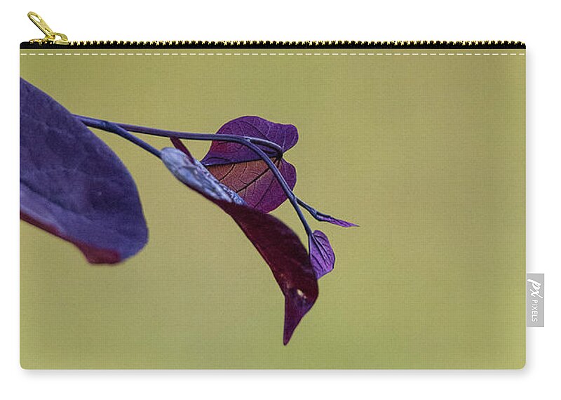 Redbud Carry-all Pouch featuring the photograph Treebud by David Beechum