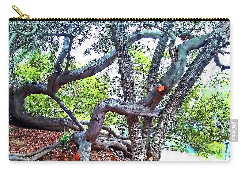 Trees Zip Pouch featuring the photograph Trees Interlocking by Andrew Lawrence