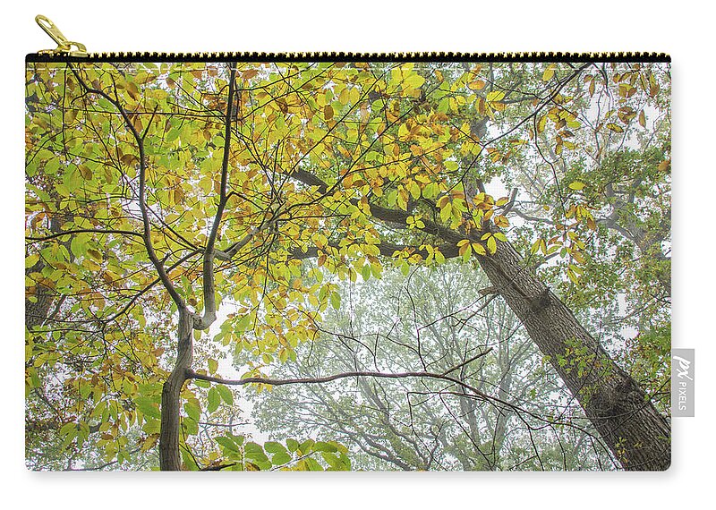 Trent Park Zip Pouch featuring the photograph Trent Park Trees Fall 10 by Edmund Peston