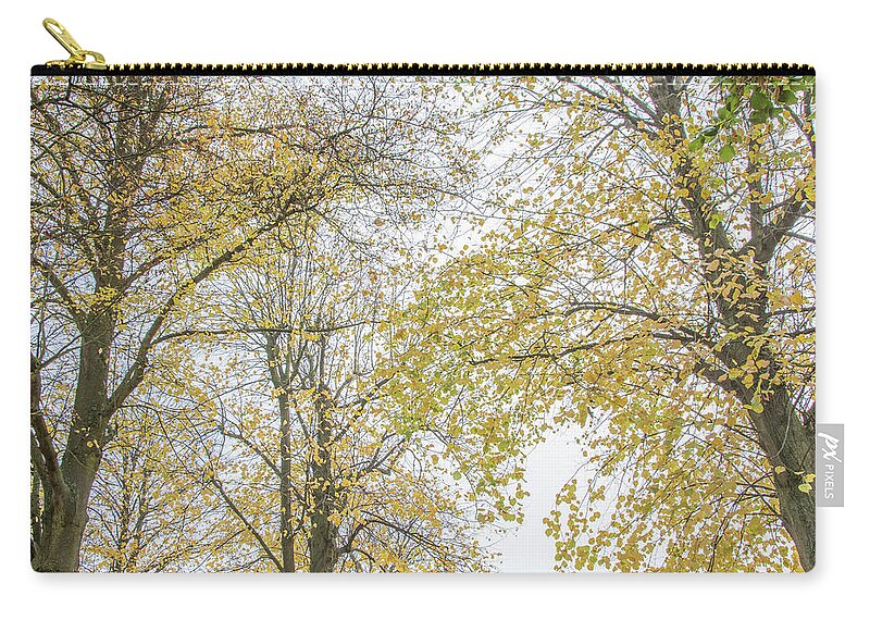Trent Park Zip Pouch featuring the photograph Trent Park Trees Fall 12 by Edmund Peston