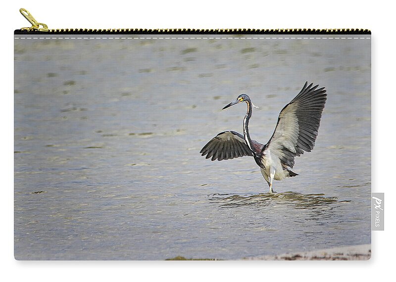 Tricolor Heron Zip Pouch featuring the photograph Tricolor Heron at Cedar Island North Carolina by Bob Decker