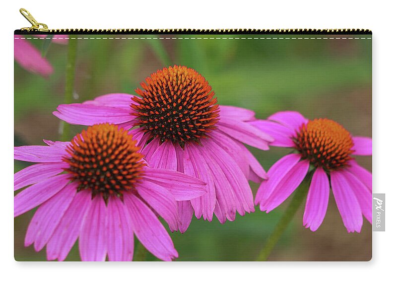 Coneflower Zip Pouch featuring the photograph Triple Threat by Mary Anne Delgado